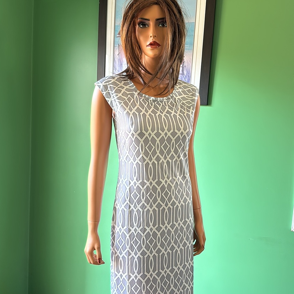 🩶🩶NWT Jean-Pierre Klifa Paris “Lily” Dress🩶🩶